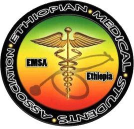 EMSA-logo